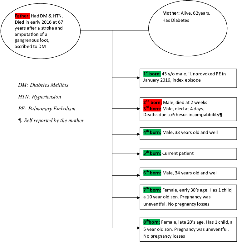 The Patient's Family Tree - Diagram (764x787), Png Download