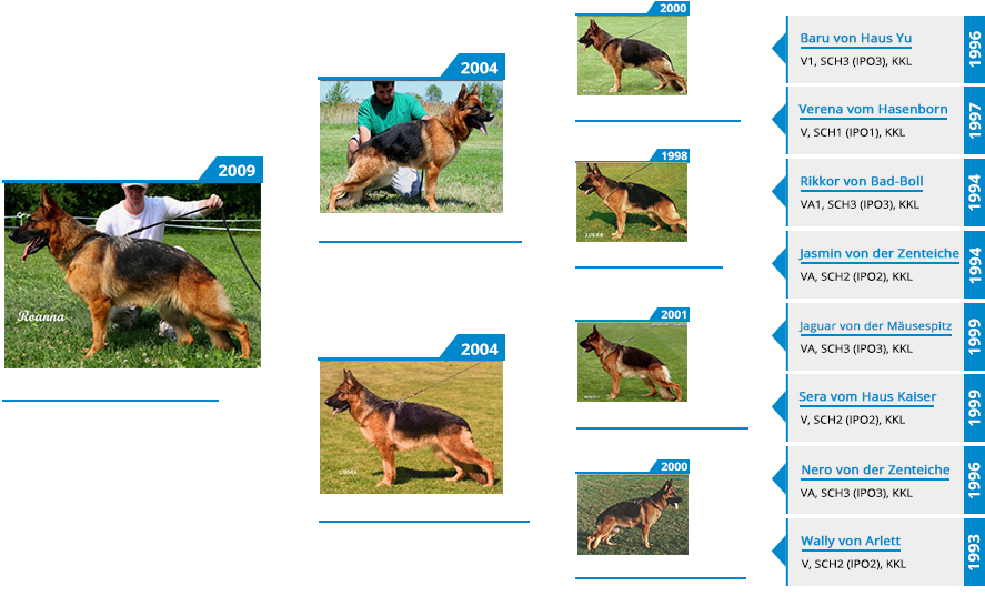 Va Windy Vom Mittelwest - Pedigree Petfoods (900x550), Png Download