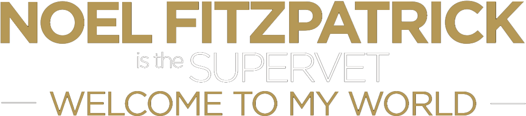 Welcome To My World Is A Unique Live Experience - Nir Kaufman (1095x309), Png Download