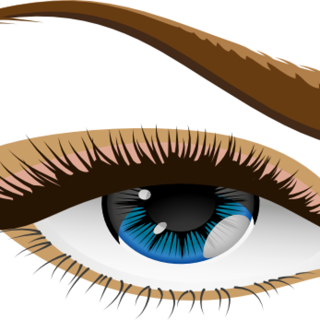 Human Eye Clip Art Free Clipart Download Rh Thelockinmovie - Vector Icones De Sobrancelha (1024x1024), Png Download
