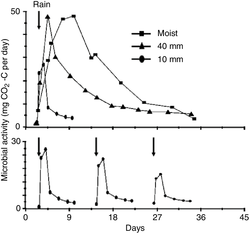 2 Effect Of Amount Of Rainfall Received On The Level - Soil (794x743), Png Download