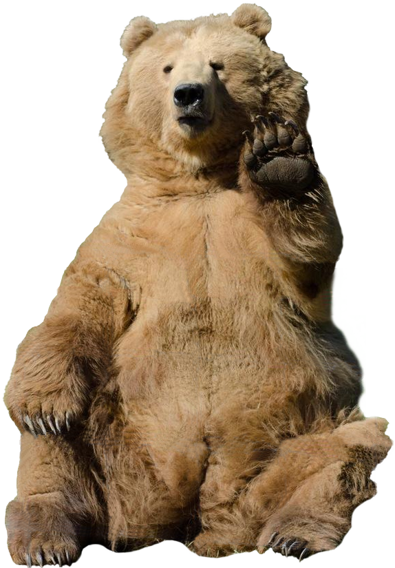 Soviet Bear Png - Bear Waving Transparent Background (835x960), Png Download