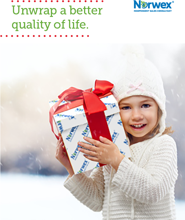 Norwex Pinterest Images Us Cdn - Norwex Christmas Facebook Banner (600x750), Png Download