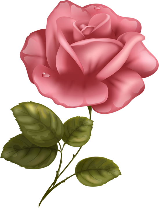 Яндекс - Фотки - Scroll Paper No Background (548x800), Png Download