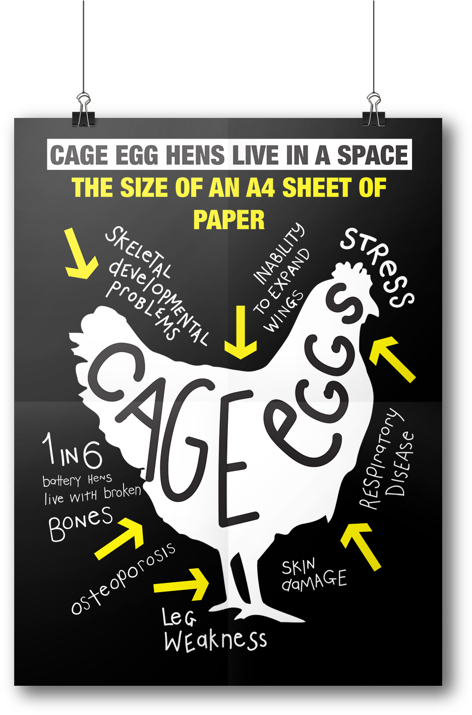 Details On Free Range Eggs - Free-range Eggs (1097x1509), Png Download