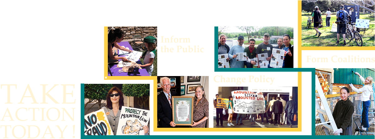 Montage Of Photographs Of Mlf Activists - Activism (1240x515), Png Download