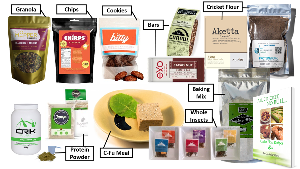 A Sample Of Curry's Bugwall Edible Insect Stock, From - Chapul - Cricket Protein Thai Bar Coconut Ginger (966x560), Png Download