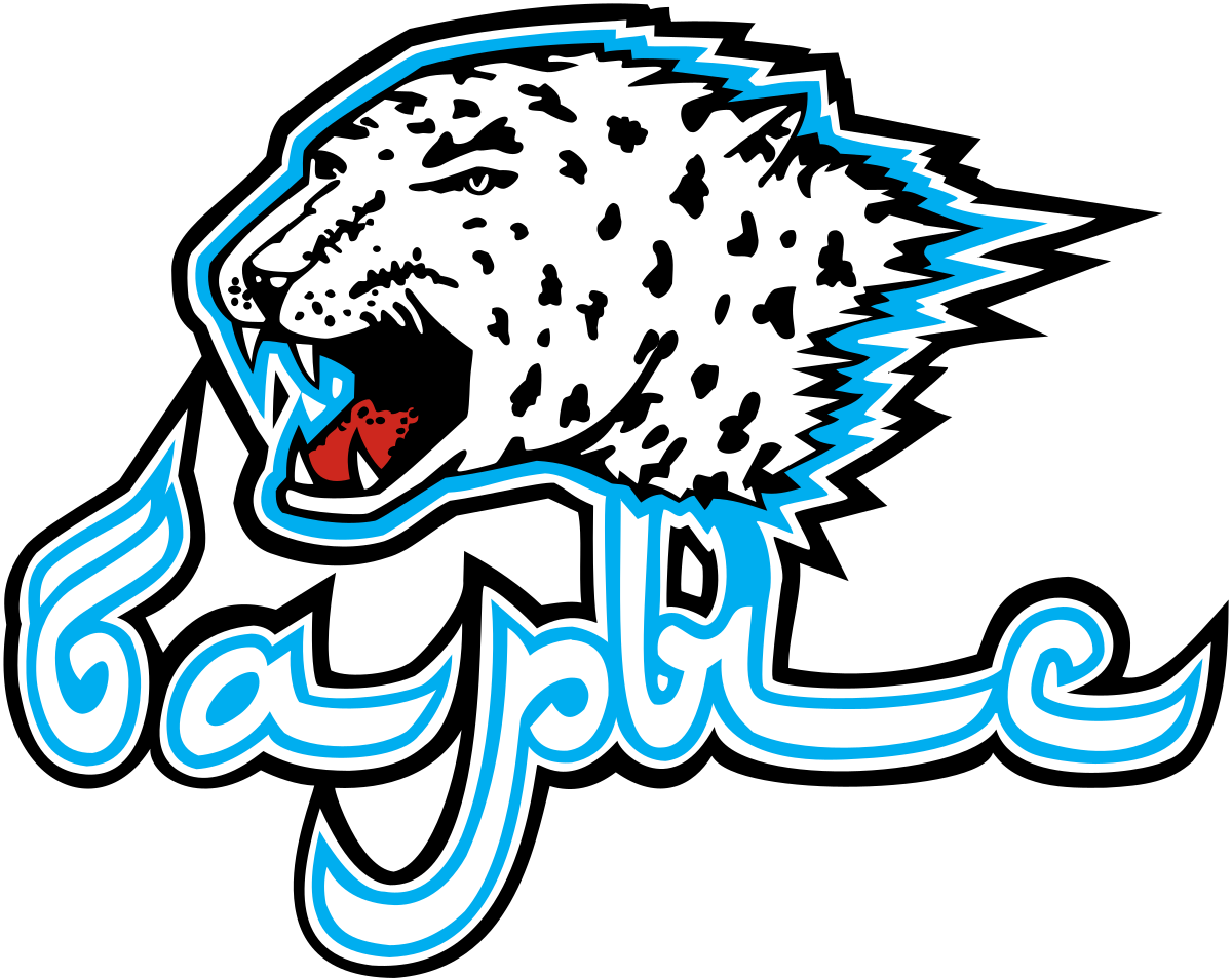 Barys Astana Logo (1200x953), Png Download