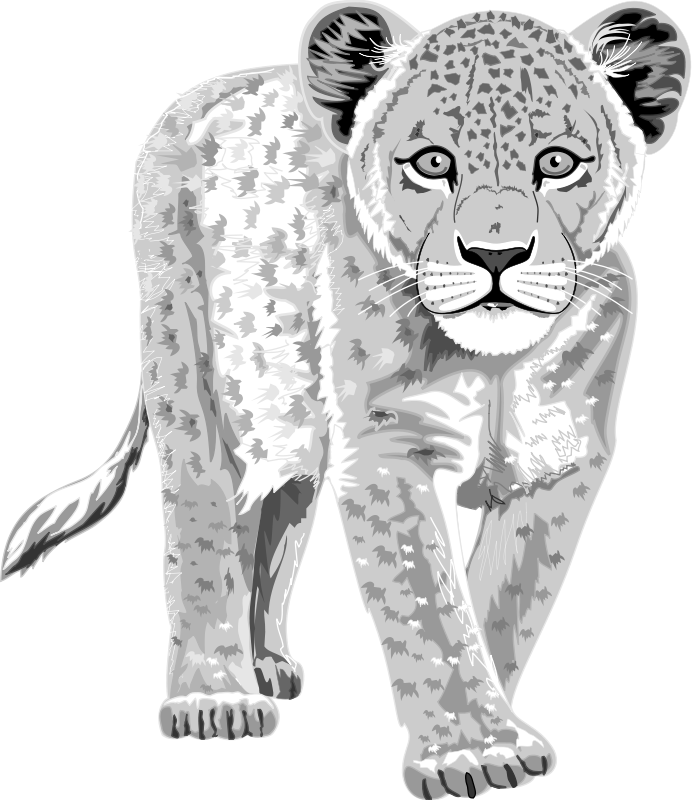 Leopard - Leopard Got His Spots Worksheet (692x800), Png Download