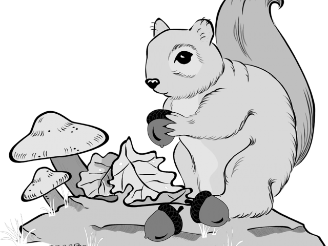 Gray Squirrel Clipart Line Art - Stock Photography (640x480), Png Download