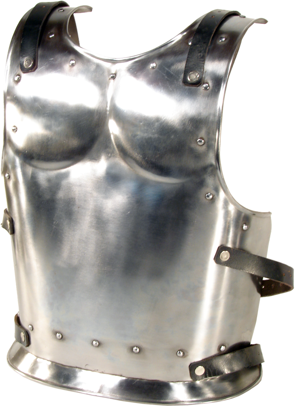 Backplate For Warrior Or Drake-goblinsmith - Backplate For Warrior Or Drake- Size Small (614x834), Png Download