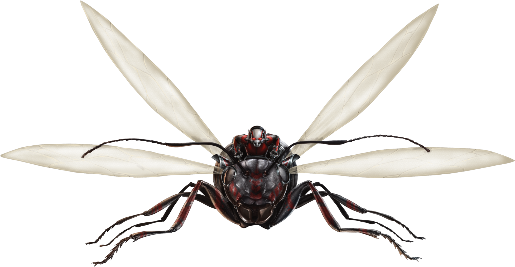 Ant-thony Fh - Ant-man Photo Card (2000x1049), Png Download