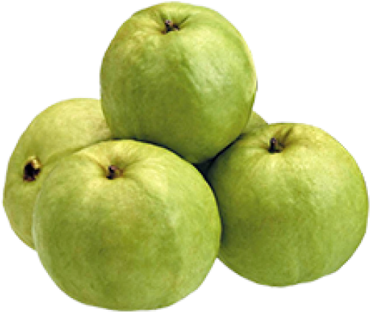 Price - Control Diabetes Home Remedies (600x600), Png Download