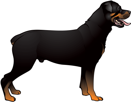 Printed Vinyl Dog Stickers Factory - Decoration Vinyl Sticker Rottweiler Dog Decoration (600x600), Png Download