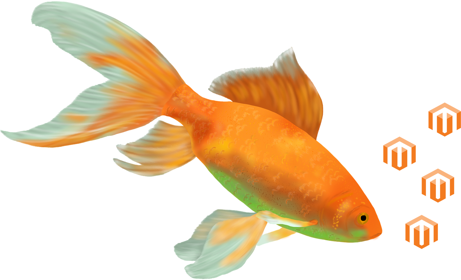 Goldfish Cropped-flipped And Space Added - Magento User Guide (1502x941), Png Download