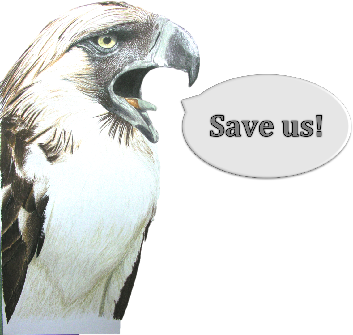 Save Us - Save Golden Eagle Slogan (1144x1150), Png Download