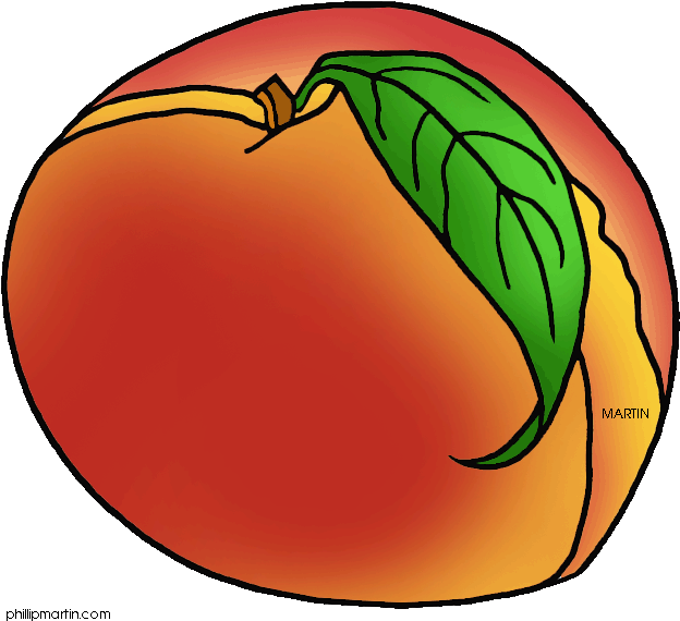 Peach Clip Art - Peach Transparent Clip Art (648x636), Png Download