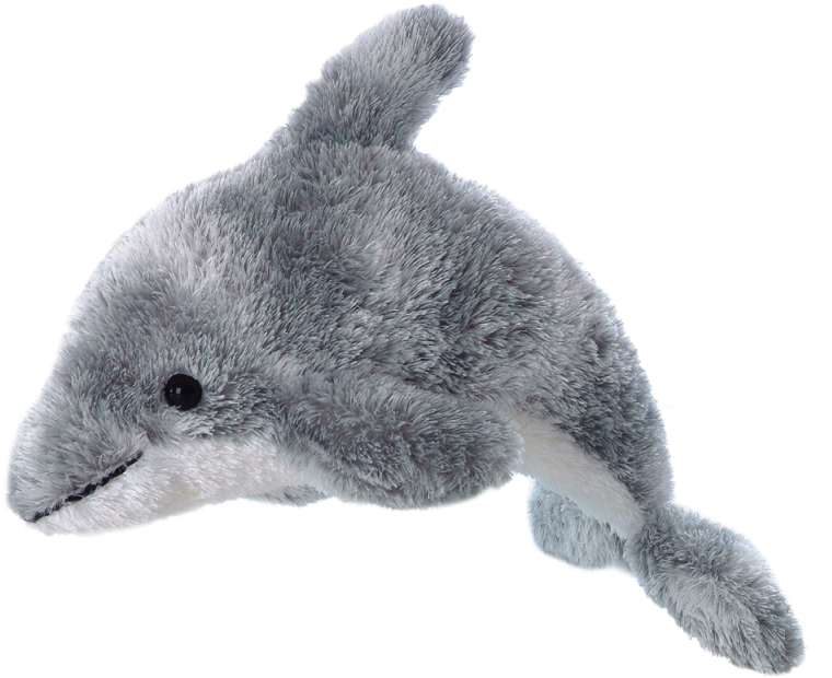 Dolphin - Plush Dolphin (800x800), Png Download