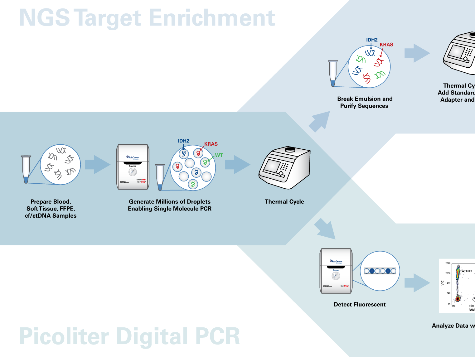 Raindrop System Infographic - Graphic Design (1522x1189), Png Download