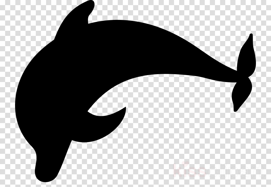 Dolphin Silhouette Clipart Dolphin Clip Art - Record With No Background (900x620), Png Download
