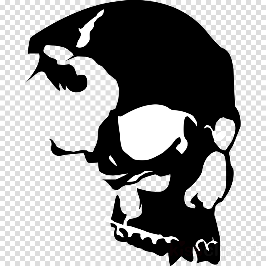 Download Vector Skull Clipart Skull Clip Art - Vinyl Record Skull Art (900x900), Png Download