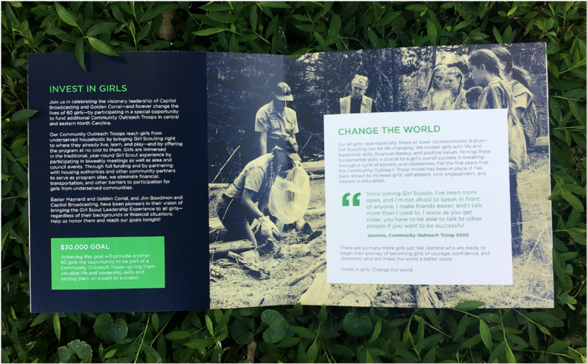 In 2016, The Girl Scouts Of North Carolina's Coastal (1000x551), Png Download