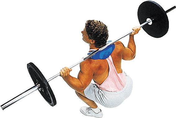 Mr136 Exer Squat V=1366057909 - Body Solid Manta Ray Squat Attachment (600x600), Png Download