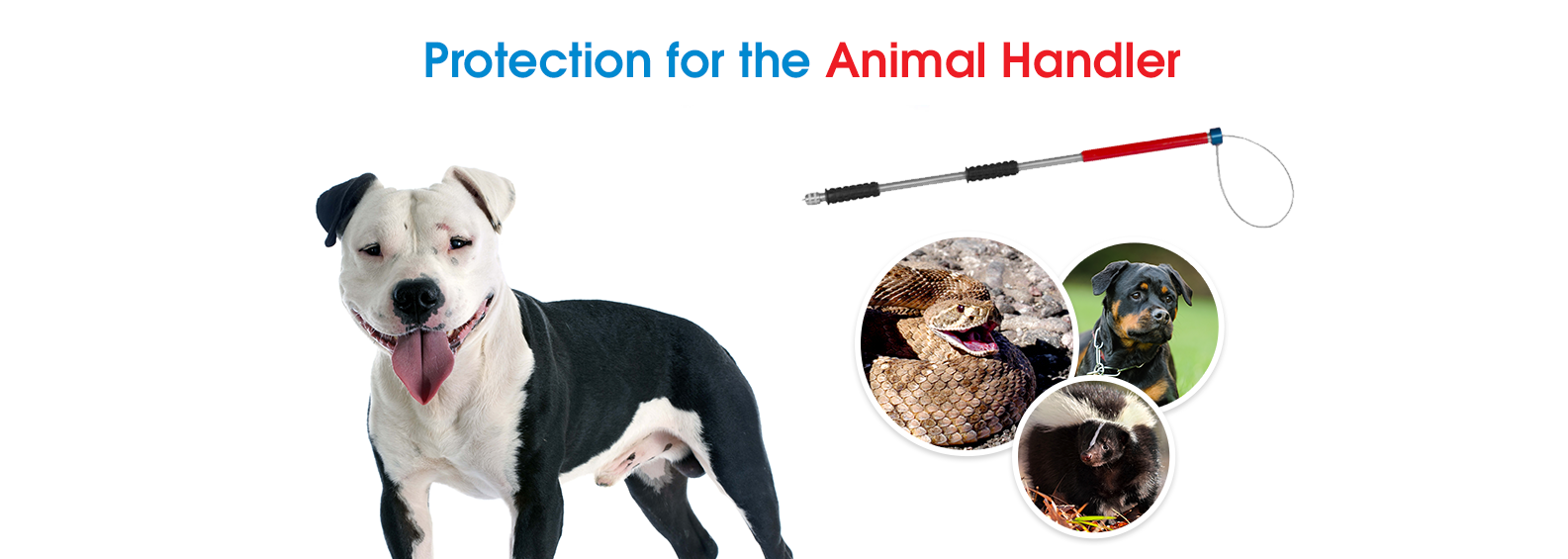 Manufacturers Of The World's Finest Animal Control - Rattlesnakes (1600x564), Png Download