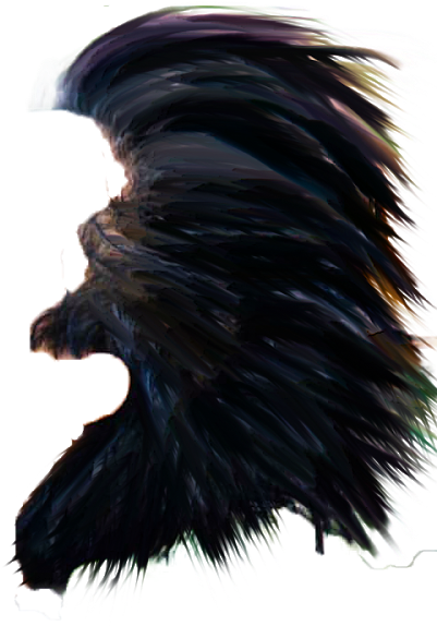 April 13, - Raven (900x1600), Png Download