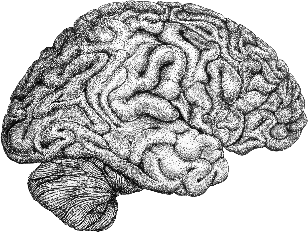 Info, - Illustration (1280x1280), Png Download