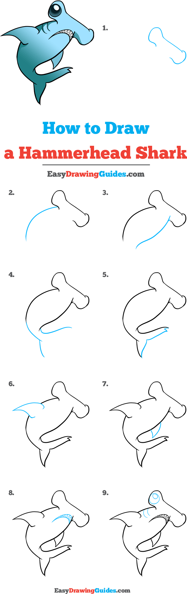 How To Draw Hammerhead Shark - Drawing (736x2139), Png Download