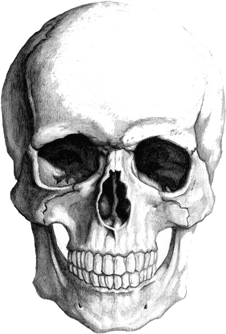 Pencils Drawing Skull - Skull Face Drawing (720x720), Png Download