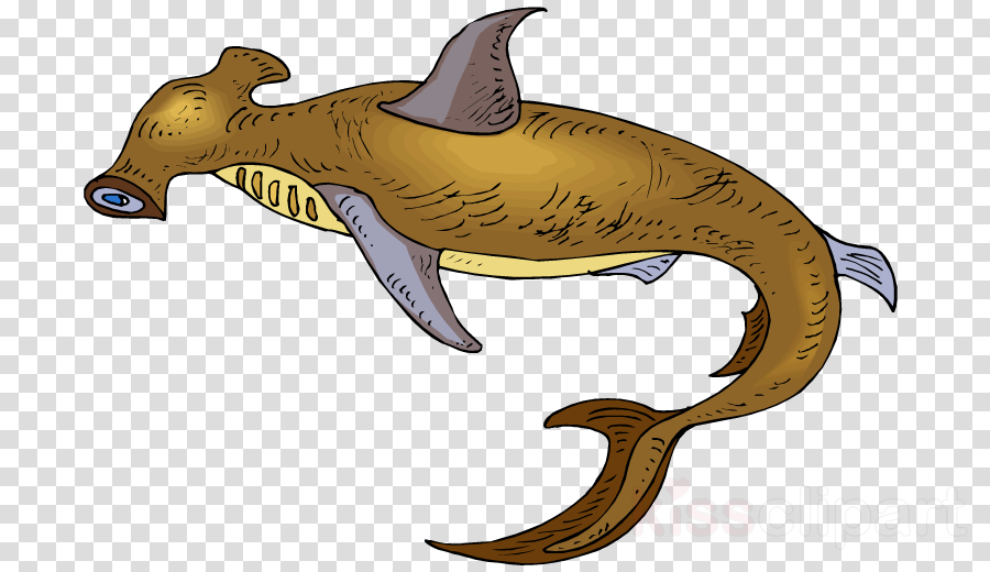 Download Shark Clipart Requiem Sharks Vertebrate Clip - Clip Art (900x520), Png Download
