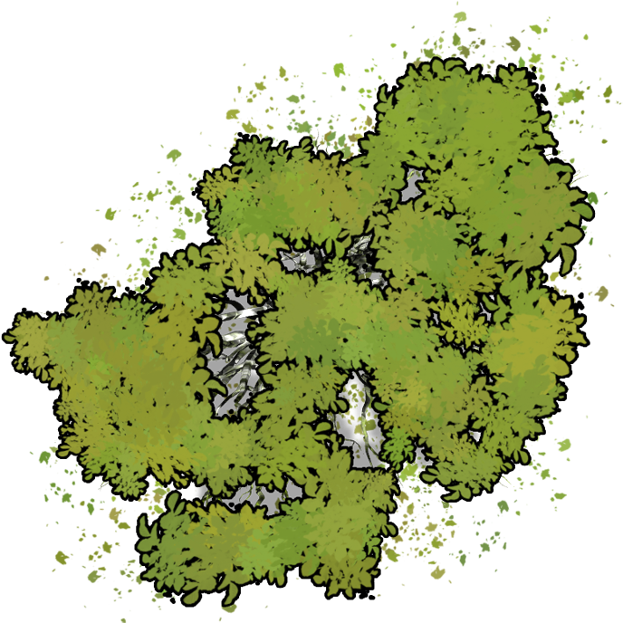 Png - Dungeons And Dragons Tree (840x840), Png Download