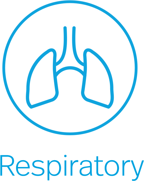 01 Asthma Text 02 Allergy Text 03 Copd 04 Respiratory - Lung (500x667), Png Download