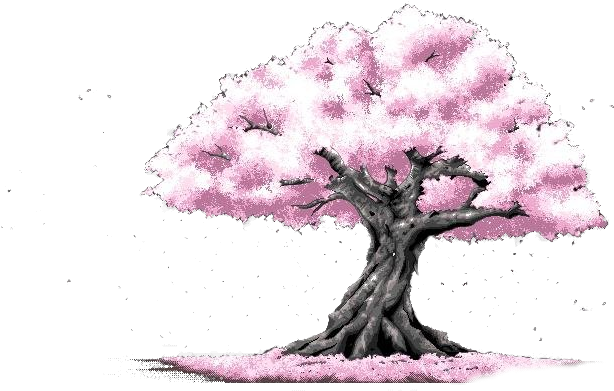 Download Cherry Blossom Cerasus Pink 背景素材png Image With No Background Pngkey Com Download Cherry Blossom Cerasus Pink 背景素材png Image With No Background Pngkey Com