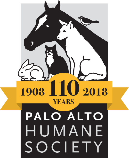 All About Dogs - Palo Alto Humane Society Ornament (round) (532x650), Png Download