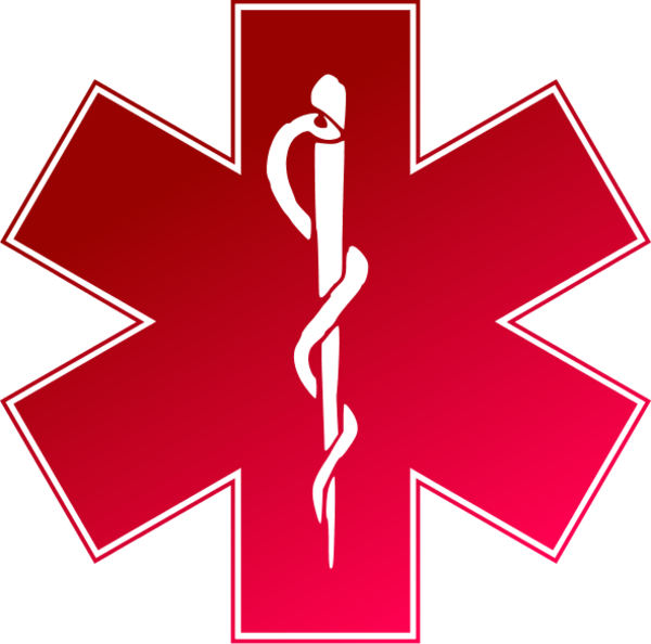 Medical - Emergency Medical Services (600x594), Png Download
