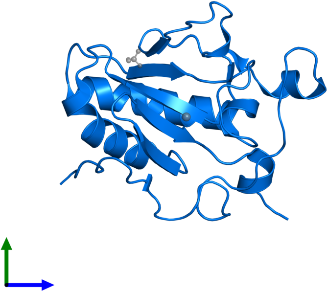 <div Class='caption-body'>pdb Entry 1vhh Contains 1 - Indian Hedgehog (800x800), Png Download