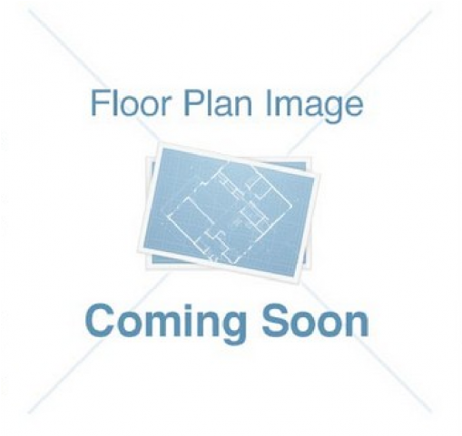 Almond Tree - North Carolina (640x480), Png Download