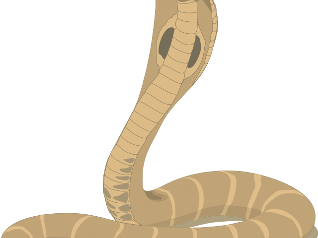 Throne Clipart Indian Kings - Cape Cobra Clip Art (640x480), Png Download