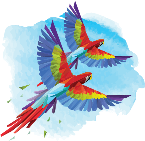 Elope In Costa Rica - Birds Of Costa Rica Illustrations (600x575), Png Download