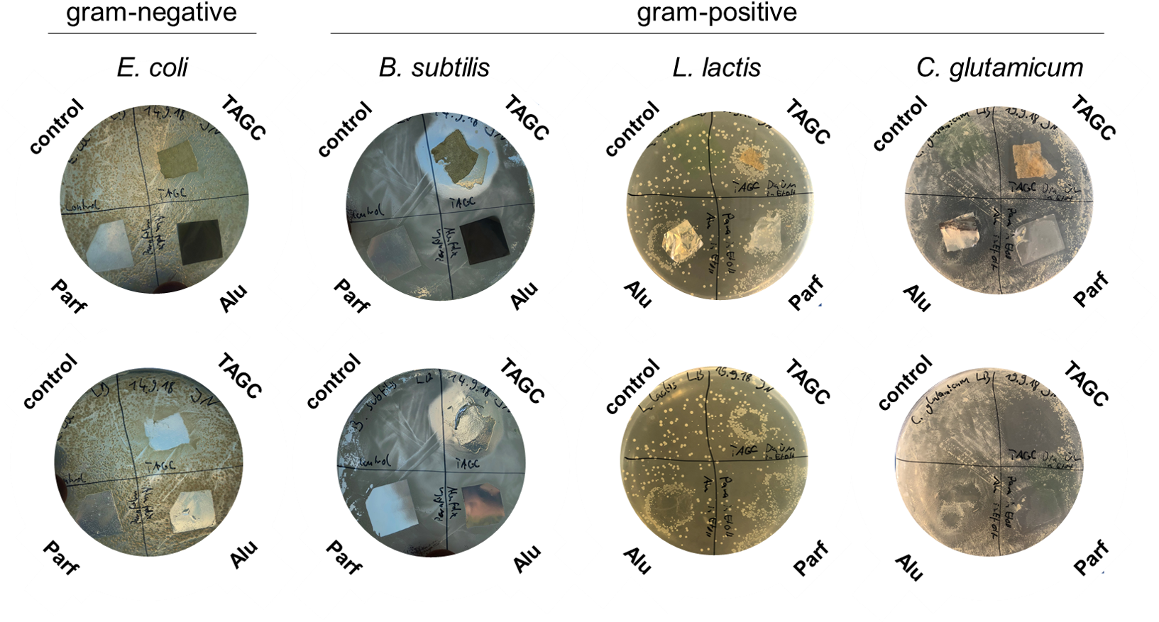 From Left To Right - Quarter (1632x897), Png Download