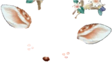 Snapchat Filters Png Transparent Images - Snapchat Filter Transparent Deer (640x480), Png Download