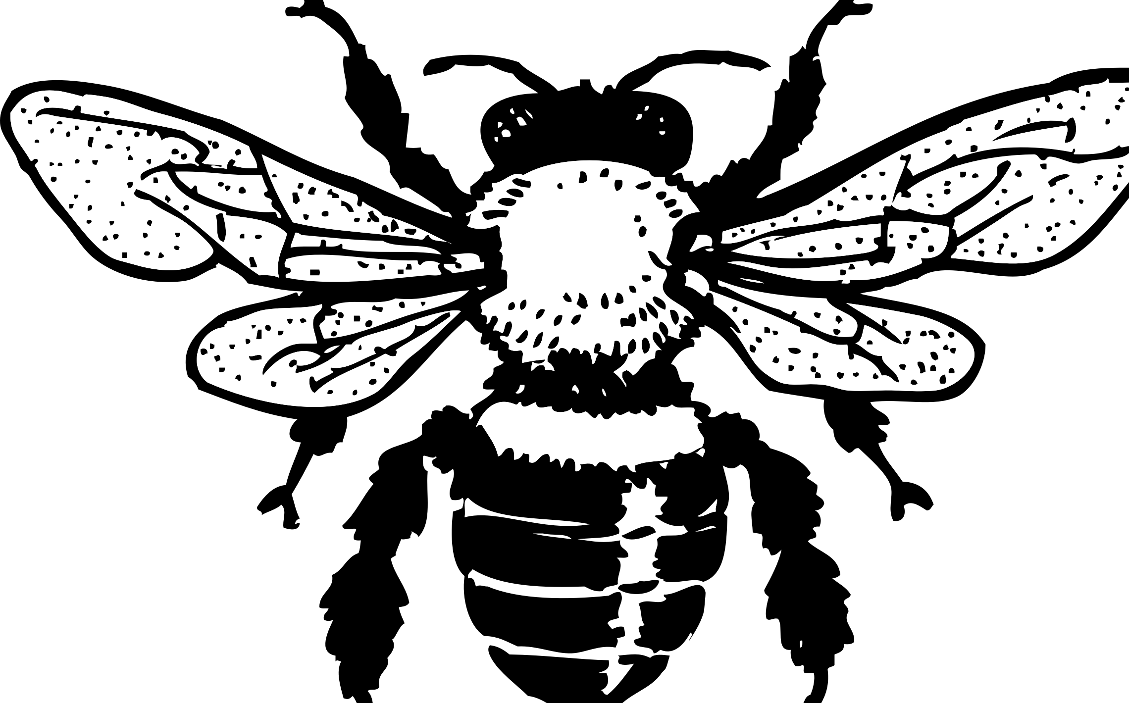 Honey Bee By Johnny Automatic (2280x1420), Png Download