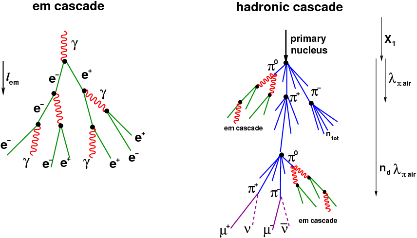 Show More Plots - Electromagnetic Cascade Neutron (856x489), Png Download
