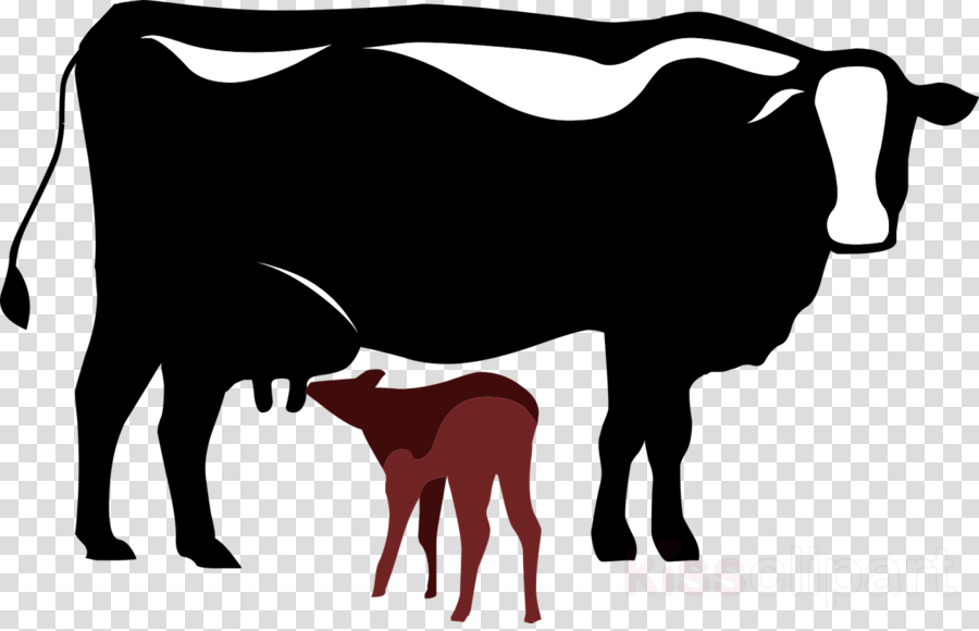 Cattle Clipart Dairy Cattle Calf Baka - Cow Is Under The Tree Clip Art (900x580), Png Download
