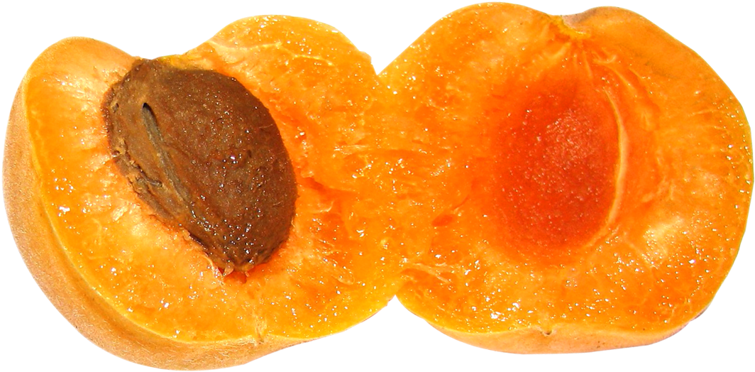 Free Png Apricot Png Images Transparent - Apricot Slice Png (850x429), Png Download