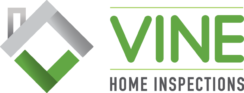 Vine Logo - Logo (1000x383), Png Download