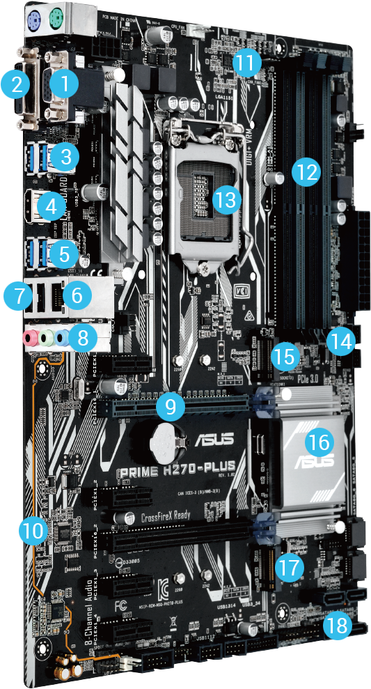 1 Dvi-d Port - Asus Prime H270 Plus (574x993), Png Download
